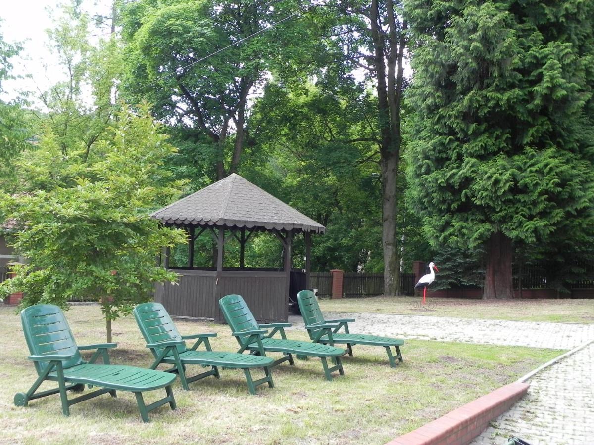 Magnolia Lądek-Zdrój